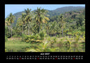 Palmentraum Fotokalender 2027 - 6