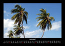 Palmentraum Fotokalender 2027 - 7