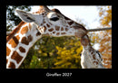 Giraffen Fotokalender 2027 - Hauptbild