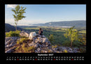 Bäume Fotokalender 2027 - 9