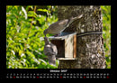 Bäume Fotokalender 2027 - 10