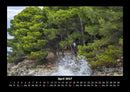 Bäume Fotokalender 2027 - 4