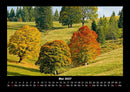 Bäume Fotokalender 2027 - 5