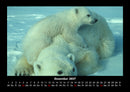 Tierkalender Fotokalender 2027 - 12