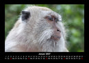Bali Fotokalender 2027 - 1