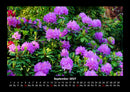 Blumentraum Fotokalender 2027 - 9