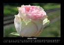 Blumentraum Fotokalender 2027 - 10