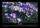 Blumentraum Fotokalender 2027 - 5
