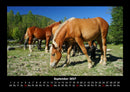 Pferdetraum Fotokalender 2027 - 9