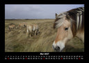 Pferdetraum Fotokalender 2027 - 5