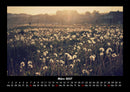 Bilder der Natur Fotokalender 2027 - 3