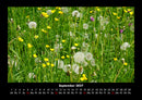 Pflanzen und Blüten Fotokalender 2027 - 9