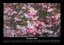 Pflanzen und Blüten Fotokalender 2027 - 12