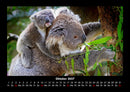 Der Tierkalender Fotokalender 2027 - 10