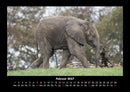 Der Tierkalender Fotokalender 2027 - 2