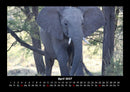 Der Tierkalender Fotokalender 2027 - 4
