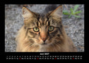 Der Tierkalender Fotokalender 2027 - 6