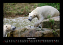 Der Tierkalender Fotokalender 2027 - 8
