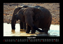 Der Elefantenkalender Fotokalender 2027 - 8