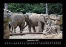 Der Elefantenkalender Fotokalender 2027 - 9