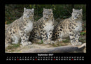 Tiere in der Wildnis Fotokalender 2027 - 9