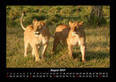 Tiere in der Wildnis Fotokalender 2027 - 8