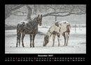 Die Welt der Pferde Fotokalender 2027 - 12