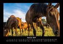Die Welt der Pferde Fotokalender 2027 - 2