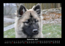 Hundezauber Fotokalender 2027 - 9