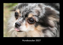 Hundezauber Fotokalender 2027 - Hauptbild