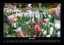 Blumenzauber Fotokalender 2027 - 5