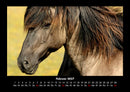 Welt der Tiere Fotokalender 2027 - 2