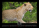 Welt der Tiere Fotokalender 2027 - 3