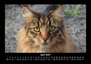 Welt der Tiere Fotokalender 2027 - 4