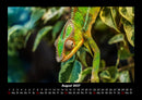 Welt der Tiere Fotokalender 2027 - 8