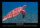 Schildkrötenzauber Fotokalender 2027 - 9