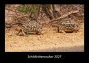 Schildkrötenzauber Fotokalender 2027 - Hauptbild