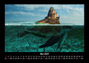 Schildkrötenzauber Fotokalender 2027 - 5