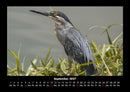Natur Fotokalender 2027 - 9