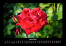 Natur Fotokalender 2027 - 4