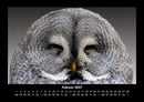 Vogelparadies Fotokalender 2027 - 2