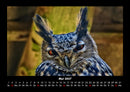 Vogelparadies Fotokalender 2027 - 5