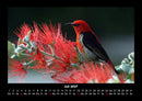 Vogelparadies Fotokalender 2027 - 7