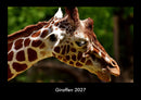 Giraffen Fotokalender 2027 - Hauptbild