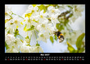 Blumenträume Fotokalender 2027 - 5