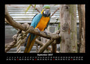 Vogelparadies Fotokalender 2027 - 9