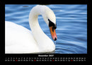 Vogelparadies Fotokalender 2027 - 12