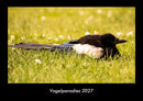 Vogelparadies Fotokalender 2027 - Hauptbild
