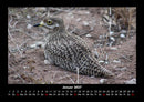 Vogelparadies Fotokalender 2027 - 1
