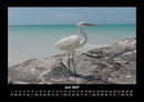 Vogelparadies Fotokalender 2027 - 6